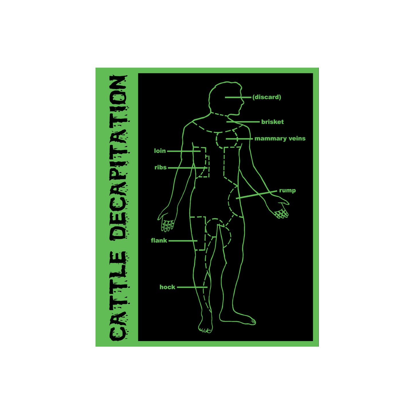 Cross-Section Human Sticker