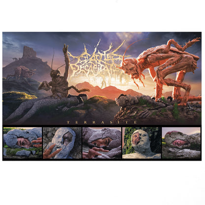 Terrasite